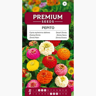 Zinnia Nain Pepito Mélange - Fleurs pompons pleines, idéales pour massifs et vases - Zinnia elegans