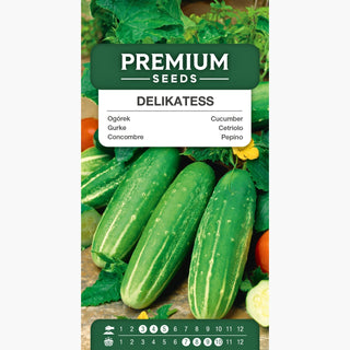 Concombre - Delikateß - Petits fruits juteux, précoce et très productif