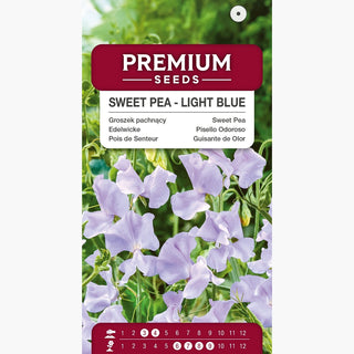 Pois de Senteur - Bleu Clair - Subtils tons bleus des fleurs - Lathyrus odoratus