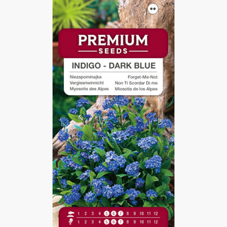 Myosotis des Alpes - Indigo - Bleu Foncé - Compacte, facile à cultiver, floraison prolongée - Myosotis alpestris