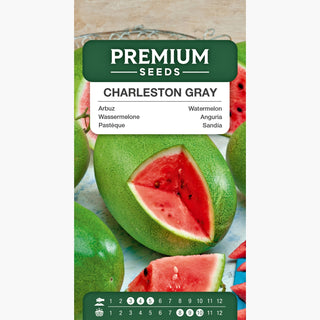 Pastèque Charleston Gray - Fruits énormes et sucrés, un régal pour le palais ! - Citrullus lanatus