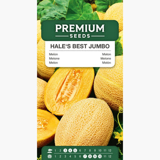Melon Hale's Best Jumbo - Saveur et arôme exquis, culture facile ! - Cucumis melo