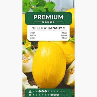 Melon Yellow Canary 2 - Douceur exceptionnelle, parfaite pour salades et cocktails ! - Cucumis melo