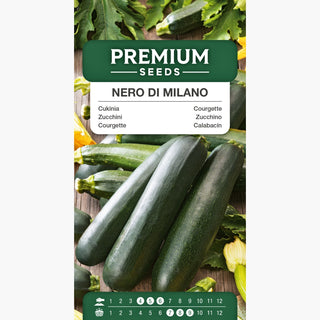 Courgette - Nero di Milano - Récoltes savoureuses et abondantes - longue période de récolte