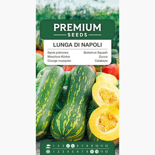 Courge Musquée Lunga Di Napoli - Fruits exceptionnellement longs au goût unique - Cucurbita moschata