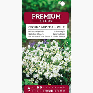 Pied d'alouette de Chine Blanc - Inflorescences spectaculaires, vivace résistante au froid - Delphinium grandiflorum
