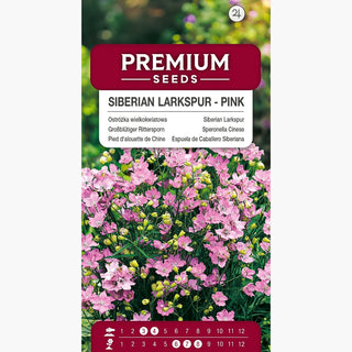 Pied d'alouette de Chine Rose - Haute et majestueuse, fond idéal - Delphinium grandiflorum