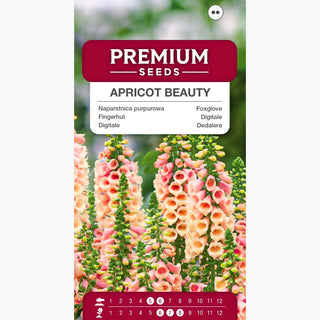 Digitale - Apricot Beauty - Élégance abricot subtile et élancée - Digitalis purpurea