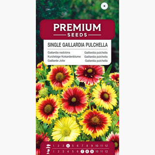 Gaillarde Jolie - Simple Mélange - Tons chauds floraison durable - Gaillardia pulchella