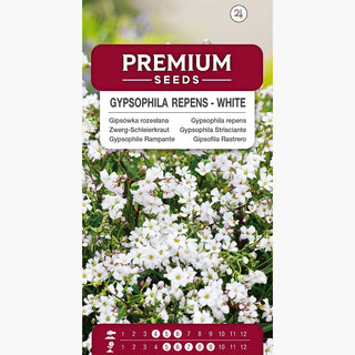 Gypsophile Rampante - Blanc - Décoration subtile pour le jardin - Gypsophila repens