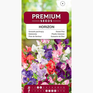 Pois de Senteur - Horizon - Couleur originale pour massifs - Lathyrus odoratus
