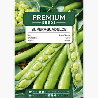Fève - Superaguadulce - Fève à longues gousses espagnole de qualité supérieure