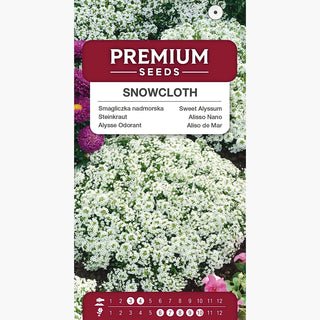 Alysse Odorant - Snowcloth - Abondante en fleurs et facile à cultiver - Lobularia maritima