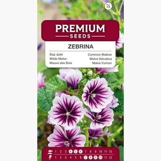 Mauve des Bois - Zebrina - Vigoureux et à croissance rapide, fleurs striées - Malva sylvestris