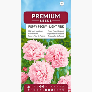Pavot à Fleur de Pivoine - Rose Clair - Élégance pastel délicate - Papaver paeoniflorum