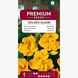 Capucine Grande - Golden Gleam - Floraison longue, idéale pour les paniers - Tropaeolum majus