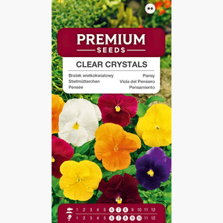 Pensée - Clear Crystals - Mélange coloré qui embellira chaque balcon - Viola ×wittrockiana