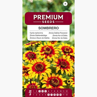 Zinnia à fleurs de Dahlia - Sombrero - Mélange de couleurs chaudes mexicaines - Zinnia elegans