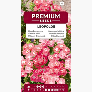 Phlox de Drummond - Leopoldii - Saumon avec œil blanc - Phlox drummondii