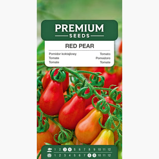 Tomate - Red Pear - Petits fruits en forme de poire, saveur sucrée