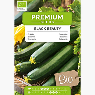 BIO Courgette Black Beauty - Savoureuse et résistante - courgette polyvalente