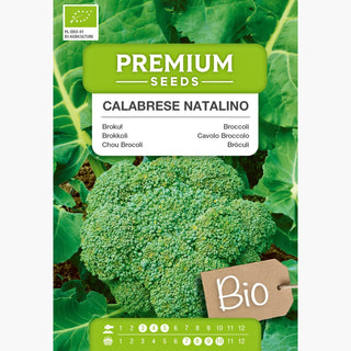 BIO Chou Brocoli Calabrese Natalino - Bombe verte de vitamines biologiques dans votre cuisine