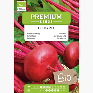 BIO Betterave - D'Egypte - Récolte sucrée et abondante à partir de semences bio