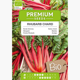 BIO Poirée Rhubarb Chard - Feuilles colorées riches en vitamines
