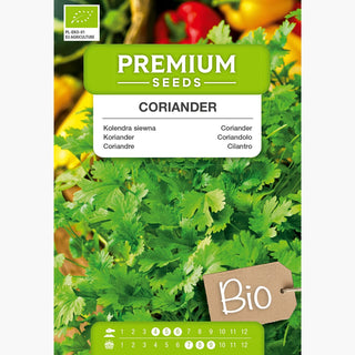 BIO Coriandre - Idéal pour la cuisine asiatique et mexicaine - Coriandrum sativum