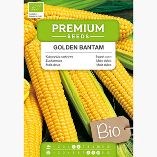 BIO Maïs doux - Golden Bantam - Saine et parfaite pour la cuisson et le barbecue