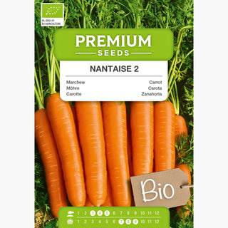 BIO Carotte Nantaise 2 - Carotte précoce à la saveur juteuse