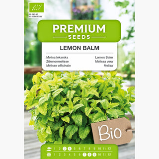 BIO Mélisse officinale - Antistress naturel en pot - Melissa officinalis