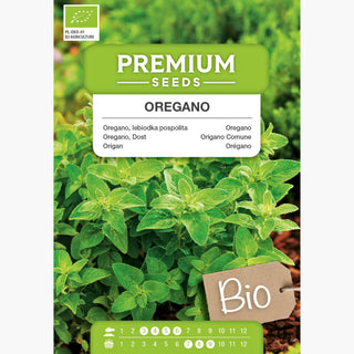 BIO Origan - Arôme italien directement du jardin - Origanum vulgare