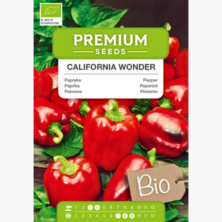 BIO Poivrons - California Wonder - Poivron doux pour grillades et salades