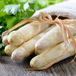 Asperge - Argenteuil - Chairnue, variété blanche, pousses délicates - Asparagus officinalis - Graines Premium