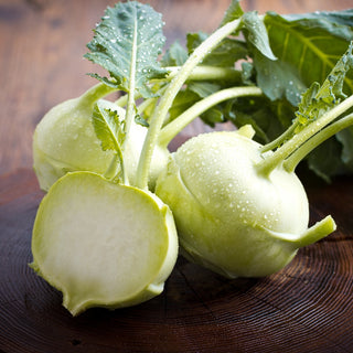 Chou-rave - Delikatess Witte - Période de végétation courte et qualité supérieure - Graines Premium