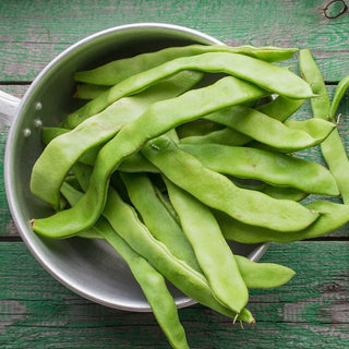 Haricot à rames - Neckarkönigin - Idéale pour la cuisson et la congélation