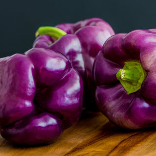 Poivron Oda - Couleur violette unique, saveur très sucrée