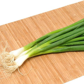 Ciboule - Long White Ishikura - À couper toute la saison
