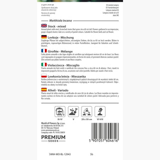 Giroflée - Ornement estival au style classique - Matthiola incana