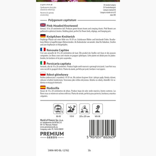 Renouée Capitée - Résistant, décoratif et à croissance rapide - Polygonum capitatum