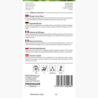 Ketmie de Afrique - Plante ornementale appréciant la chaleur - Hibiscus trionum