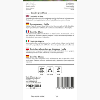 Godétia - Blanc - Ornement subtil et classique pour massifs - Godetia grandiflora