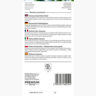 Palmier des Canaries - Vivace, exotique, résistante - Phoenix canariensis