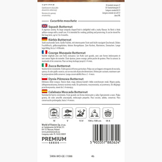 Courge Musquée Butternut - Exceptionnellement délicieuse et saine - Cucurbita moschata