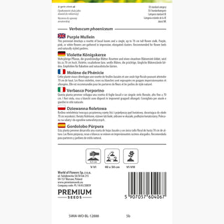 Molène de Phénicie - Se distingue par son bel effet en massifs - Verbascum phoeniceum