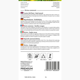 Ricin commun - feuilles rouges - Apparence spectaculaire, entretien facile - Ricinus communis