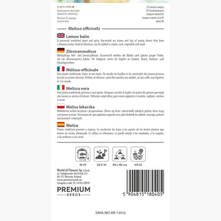 Mélisse Officinale - Aromatique, apaisante et abaissant la pression - Melissa officinalis