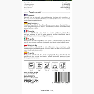 Nepeta - Attire les chats, repousse les moustiques - Nepeta mussinii