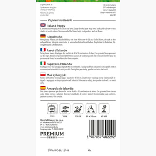 Pavot d'Islande - Charmant, multicolore et résistant - Papaver nudicaule